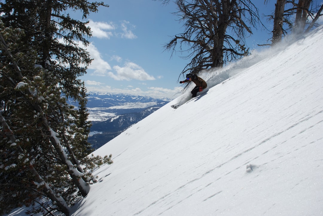 Photo Ski carving