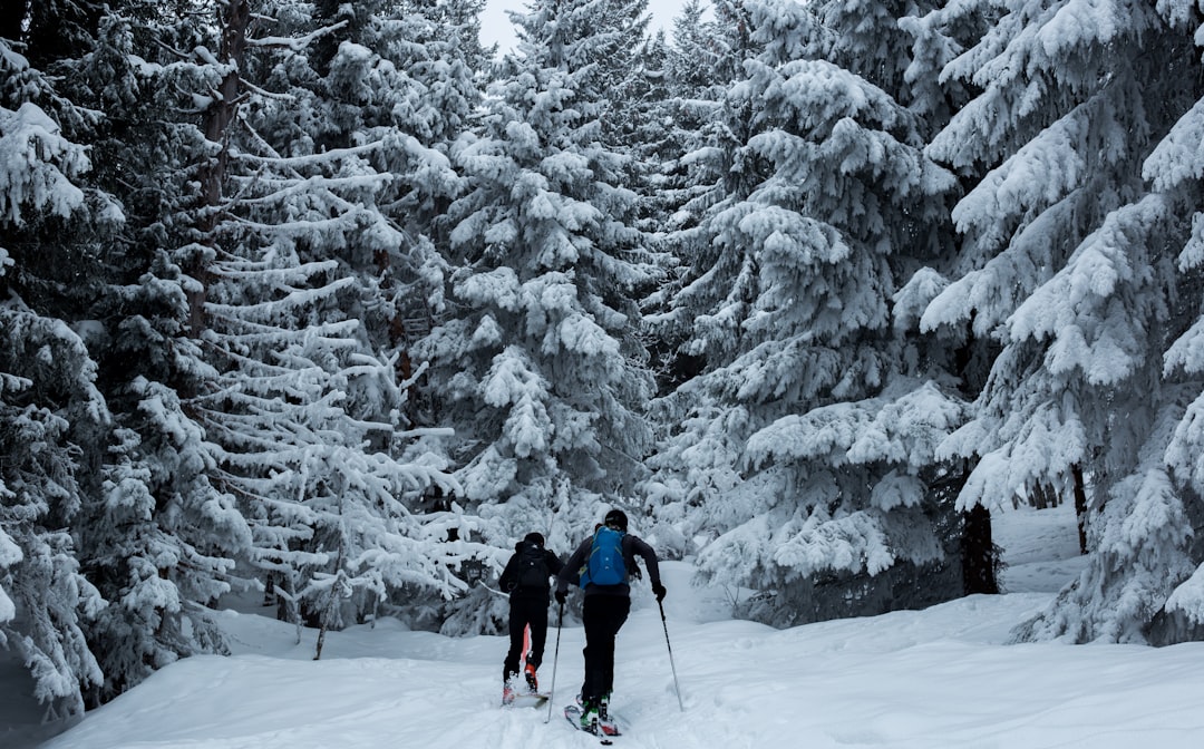 Photo Skiing Legends